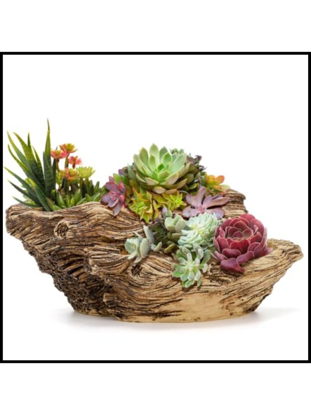 Resin Driftwood Planter Sculpture Succulent Bonsai Pot with Drainage Hole